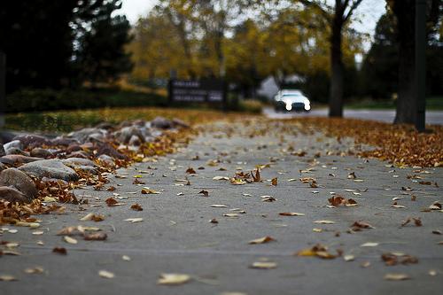 Customer photo 2 of 2. Click to open full size image.