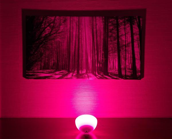 Customer photo 3 of 3. Click to open full size image.