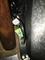 User submitted photo