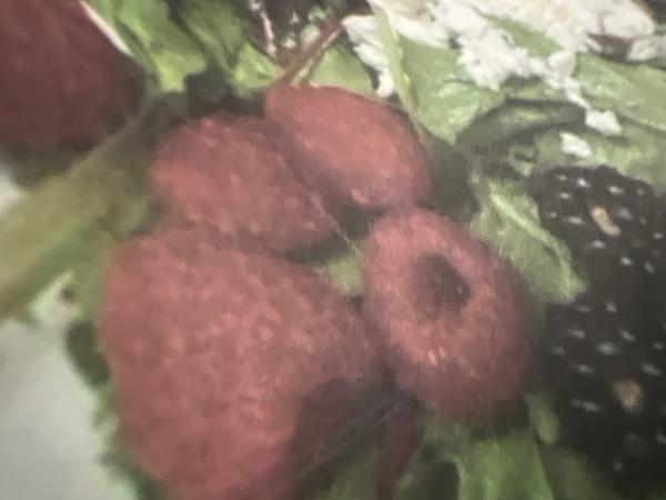 Customer photo 5 of 6. Click to open full size image.