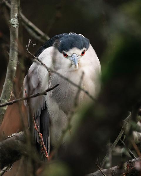 Customer photo 4 of 6. Click to open full size image.