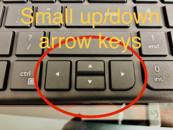 Customer photo 1 of 6. Click to open full size image.