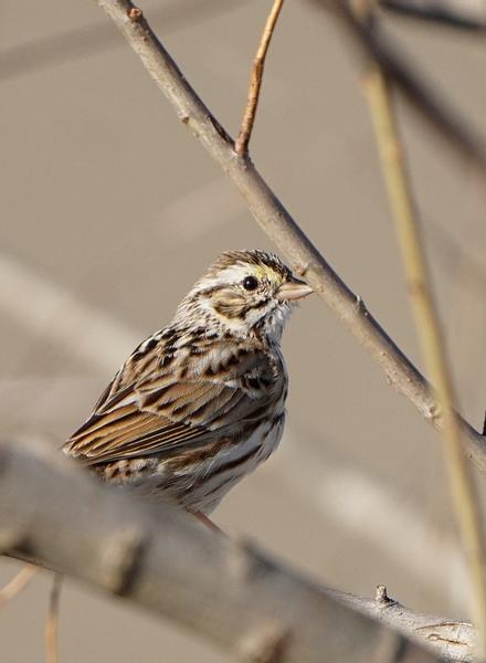 Customer photo 6 of 6. Click to open full size image.