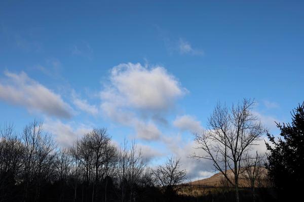 Customer photo 2 of 4. Click to open full size image.