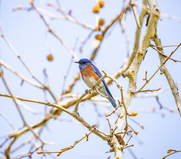 Customer photo 1 of 5. Click to open full size image.