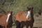 User submitted photo