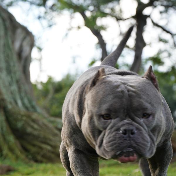 Customer photo 3 of 6. Click to open full size image.