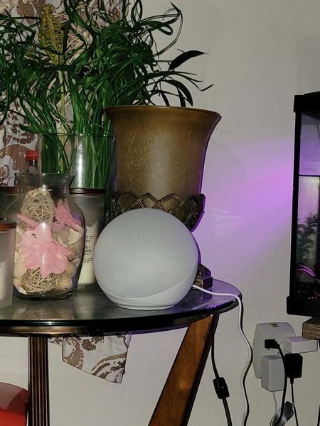 Customer photo 2 of 2. Click to open full size image.