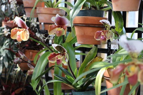 Customer photo 4 of 6. Click to open full size image.