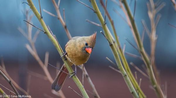 Customer photo 1 of 4. Click to open full size image.