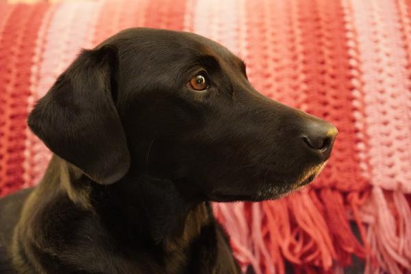 Customer photo 3 of 3. Click to open full size image.