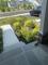 User submitted photo