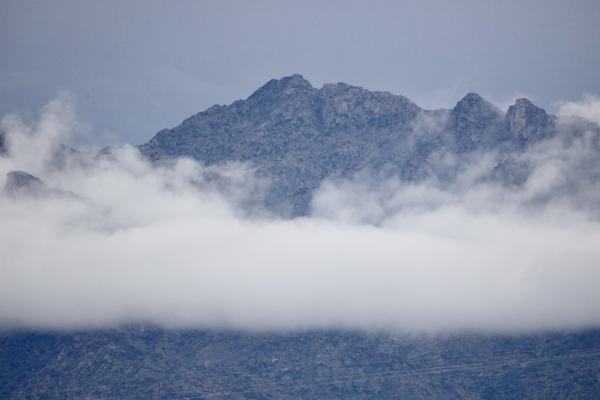 Customer photo 4 of 4. Click to open full size image.