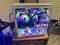 User submitted photo