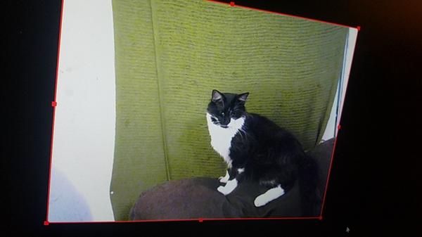 Customer photo 4 of 4. Click to open full size image.