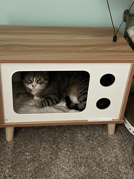 Customer photo 1 of 6. Click to open full size image.