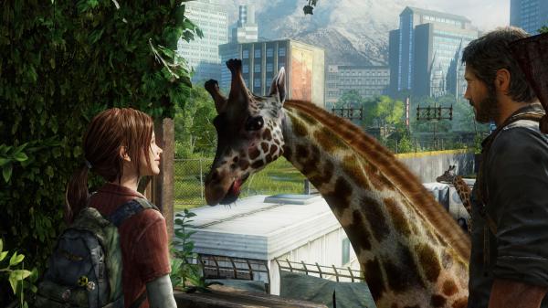 Customer photo 2 of 2. Click to open full size image.