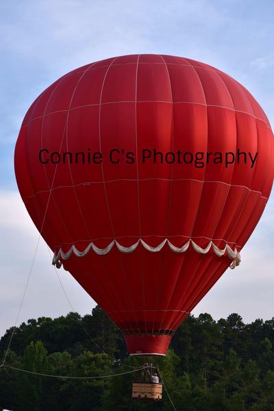 Customer photo 2 of 2. Click to open full size image.