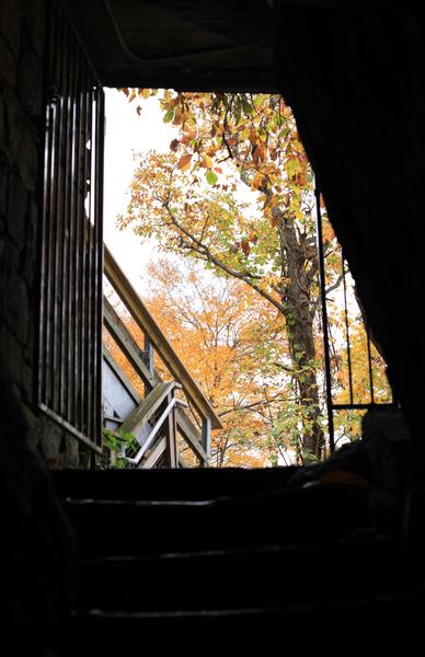 Customer photo 5 of 6. Click to open full size image.