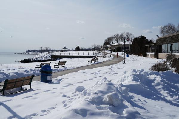 Customer photo 5 of 5. Click to open full size image.