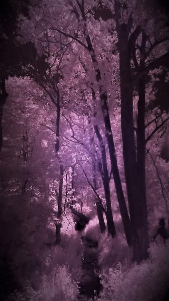 Customer photo 2 of 5. Click to open full size image.