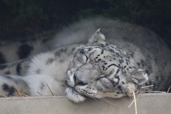 Customer photo 1 of 3. Click to open full size image.