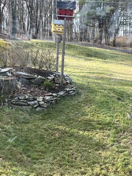 Customer photo 6 of 6. Click to open full size image.