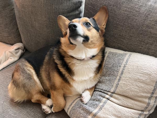 Customer photo 2 of 4. Click to open full size image.