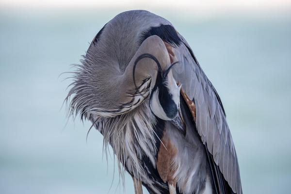 Customer photo 3 of 4. Click to open full size image.