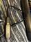 User submitted photo
