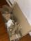 User submitted photo