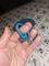 User submitted photo