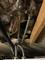 User submitted photo