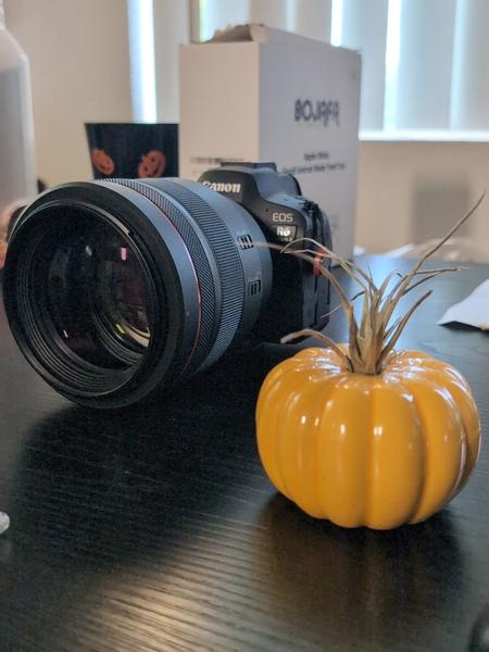 Customer photo 2 of 3. Click to open full size image.