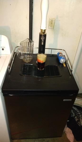 Best buy insignia deals kegerator