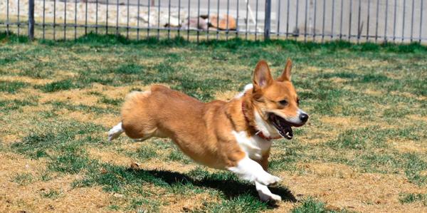 Customer photo 4 of 6. Click to open full size image.