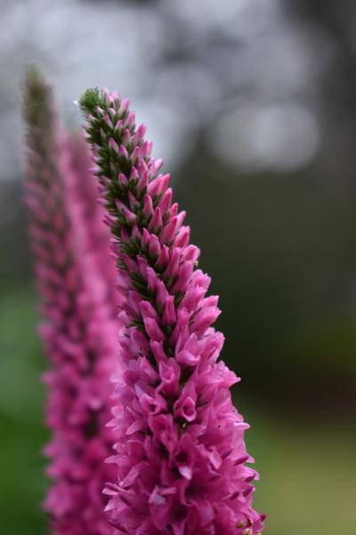 Customer photo 5 of 6. Click to open full size image.