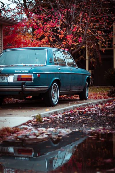 Customer photo 3 of 6. Click to open full size image.