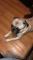 User submitted photo