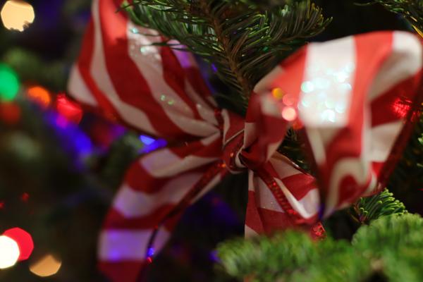 Customer photo 3 of 6. Click to open full size image.