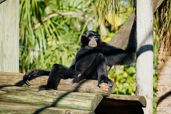 Customer photo 5 of 6. Click to open full size image.