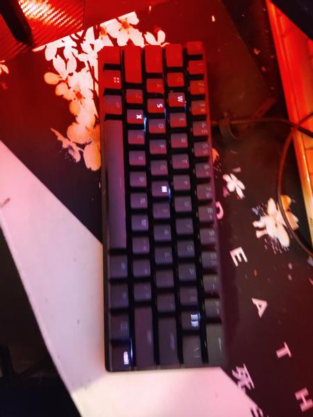 Customer photo 1 of 4. Click to open full size image.