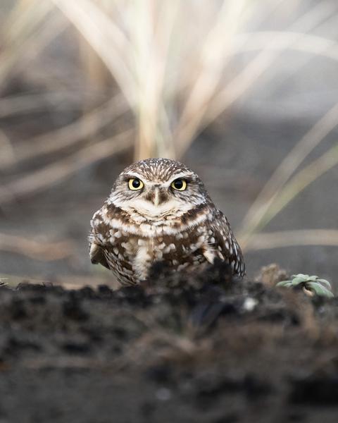 Customer photo 3 of 6. Click to open full size image.