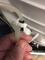 User submitted photo