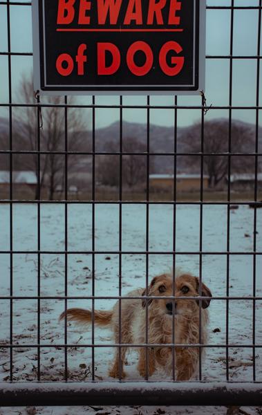 Customer photo 3 of 6. Click to open full size image.