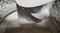User submitted photo