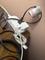 User submitted photo