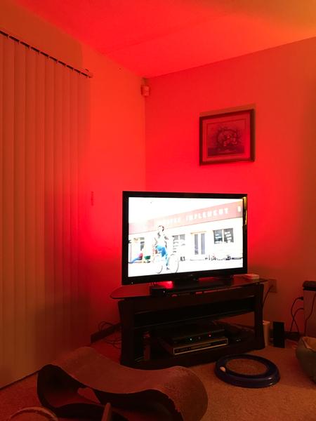 Customer photo 1 of 2. Click to open full size image.