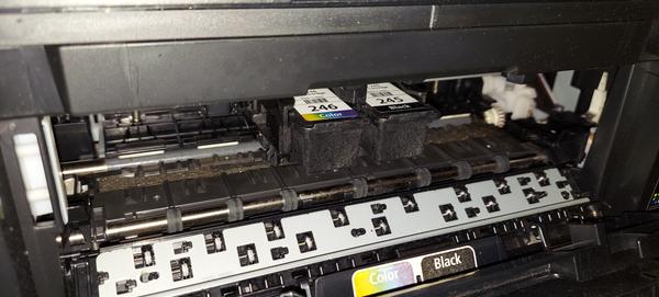 Customer photo 1 of 1. Click to open full size image.