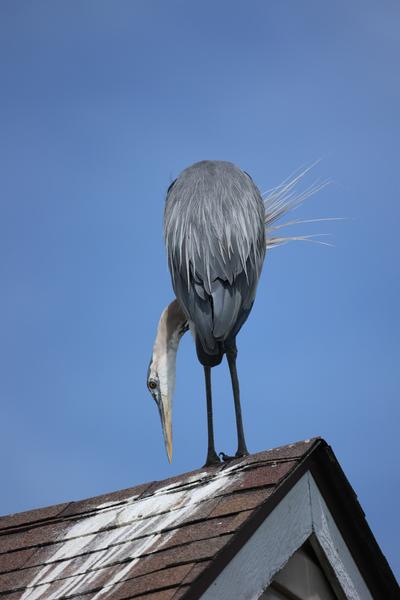 Customer photo 1 of 4. Click to open full size image.